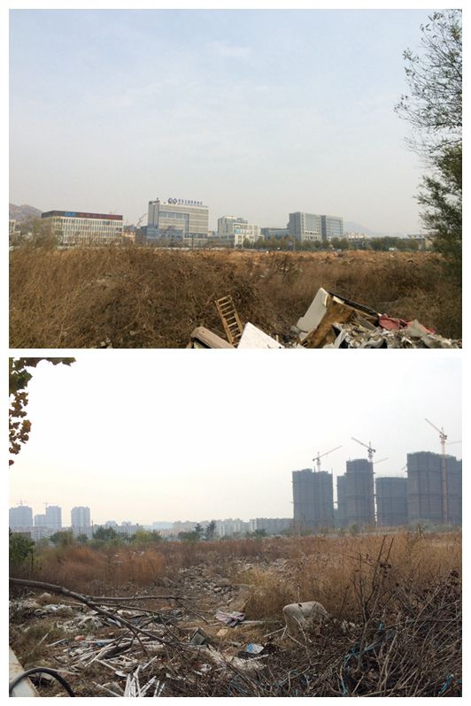 �����ؿ���״